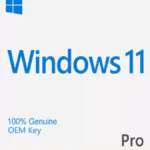 Windows 11 Pro License – OEM Key